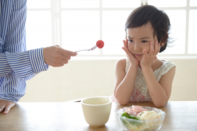 未解決 なぜごはんを残してはいけないのか を子供に説明するのがすごく難しかったお話 ブログが書けたよ